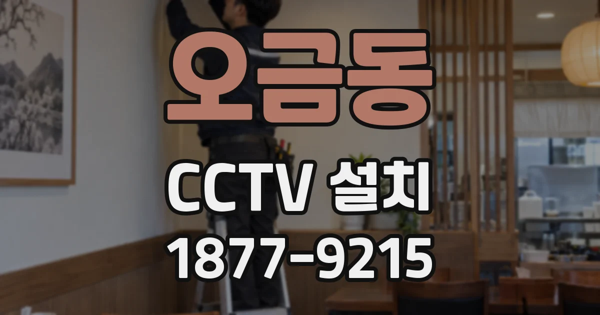 오금동 CCTV 설치