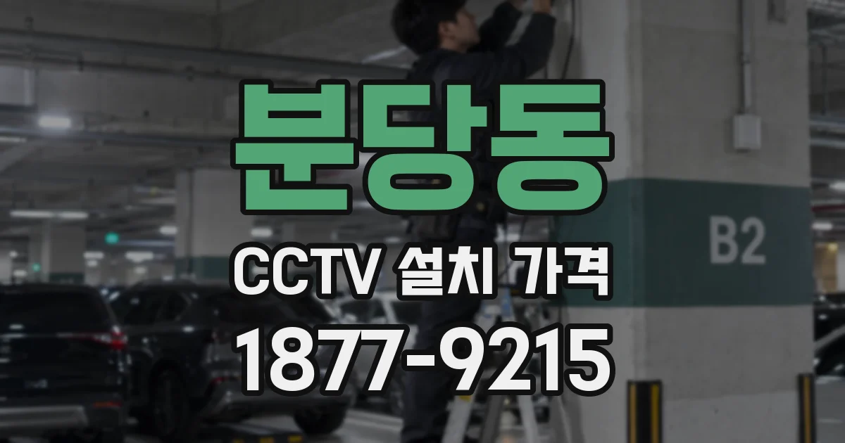 분당동 CCTV 설치 가격