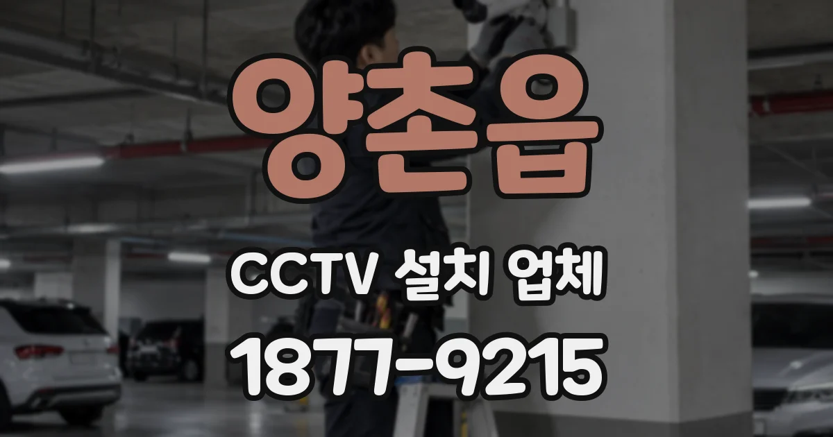 양촌읍 CCTV 설치 업체