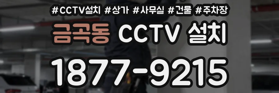 금곡동 CCTV 설치