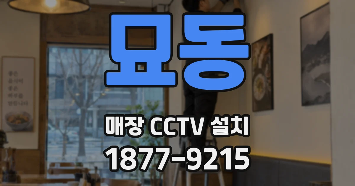 묘동 매장 CCTV 설치