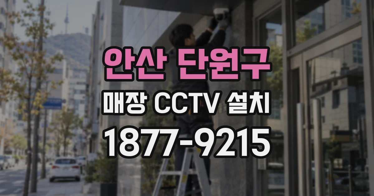 안산 단원구 매장 CCTV 설치