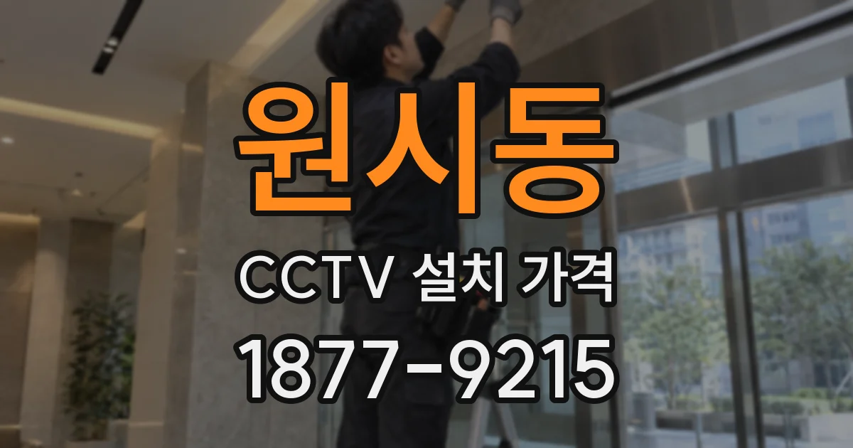 원시동 CCTV 설치 가격