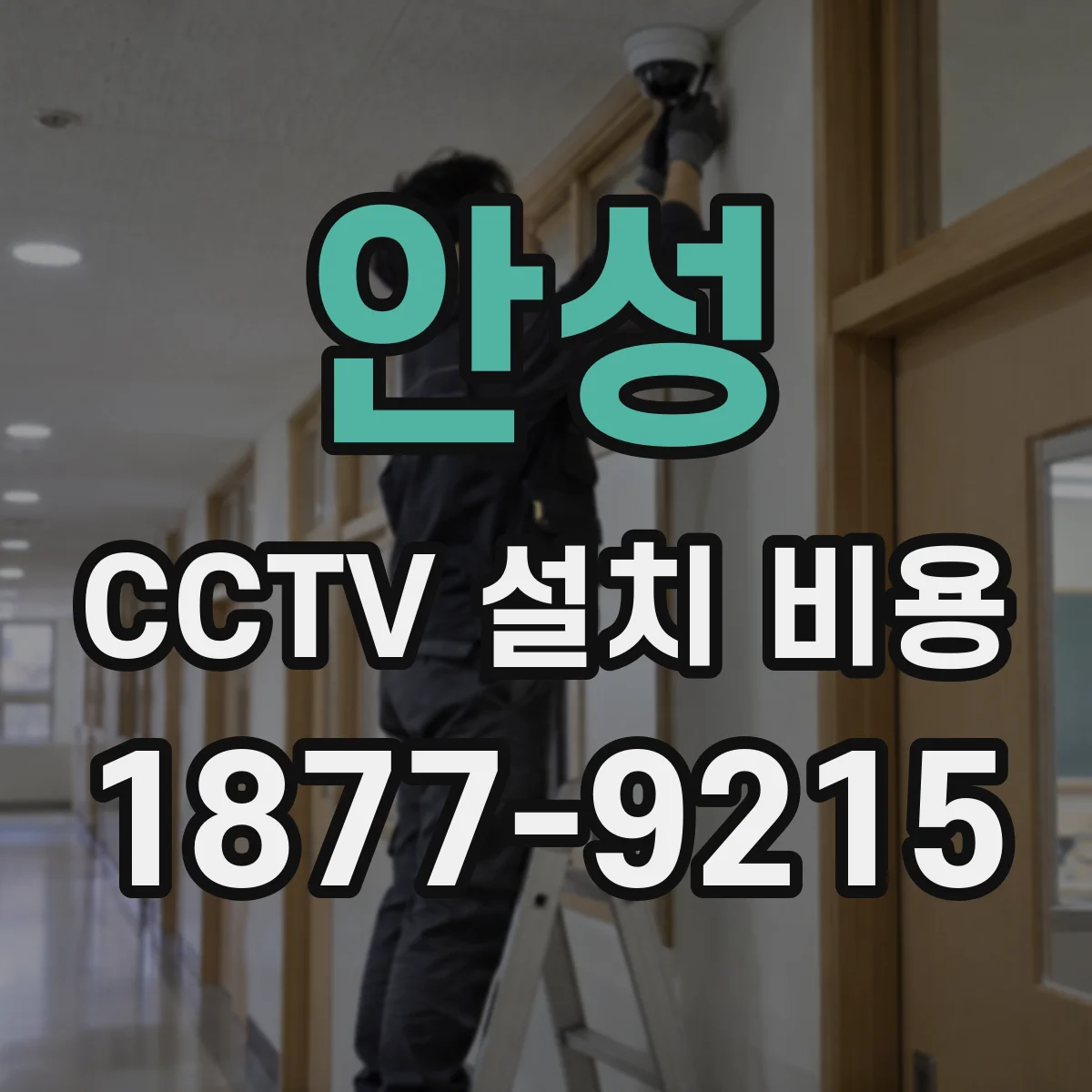 안성 CCTV 설치 비용 관제·모니터링 서비스 이용료 추가 여부