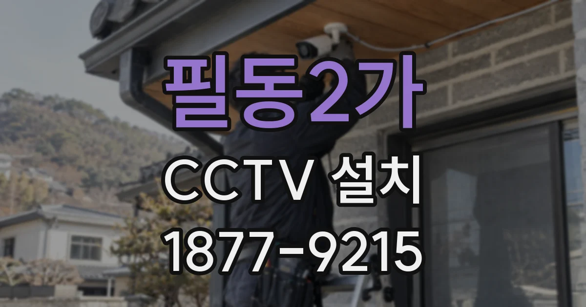 필동2가 CCTV 설치