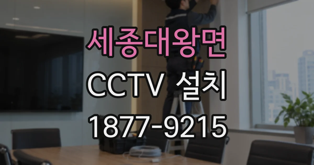 세종대왕면 CCTV 설치