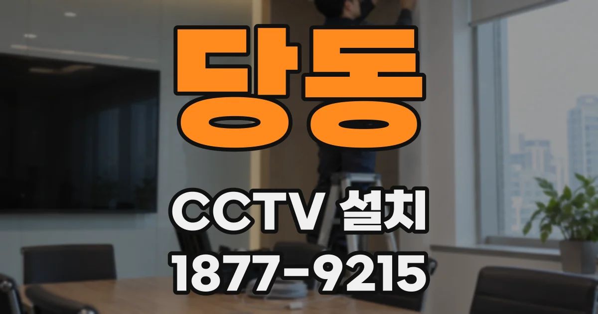 당동 CCTV 설치