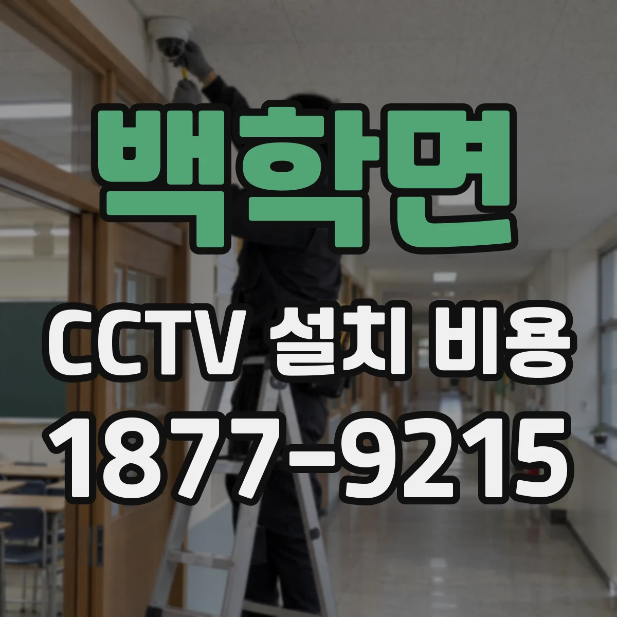 백학면 CCTV 설치 비용