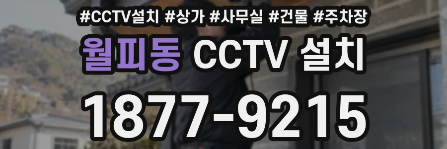 월피동 CCTV 설치