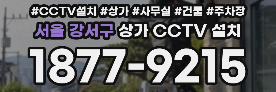 서울 강서구 상가 CCTV 설치