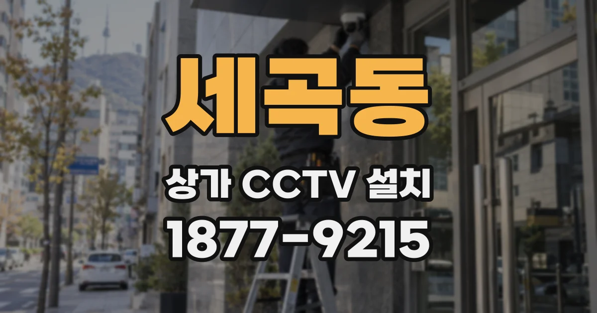 세곡동 상가 CCTV 설치