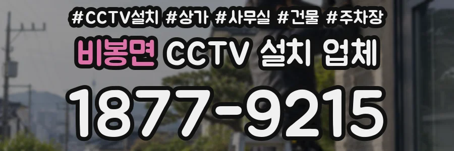 비봉면 CCTV 설치 업체