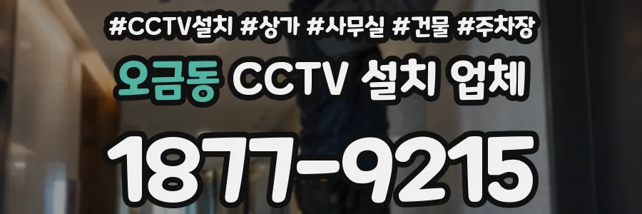 오금동 CCTV 설치 업체