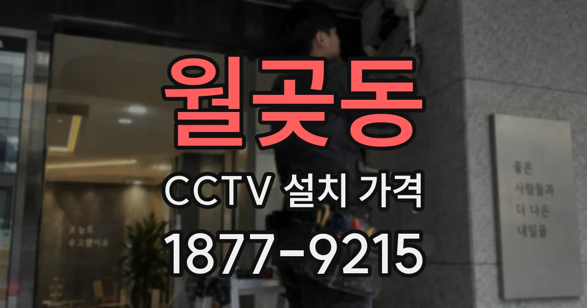 월곶동 CCTV 설치 가격