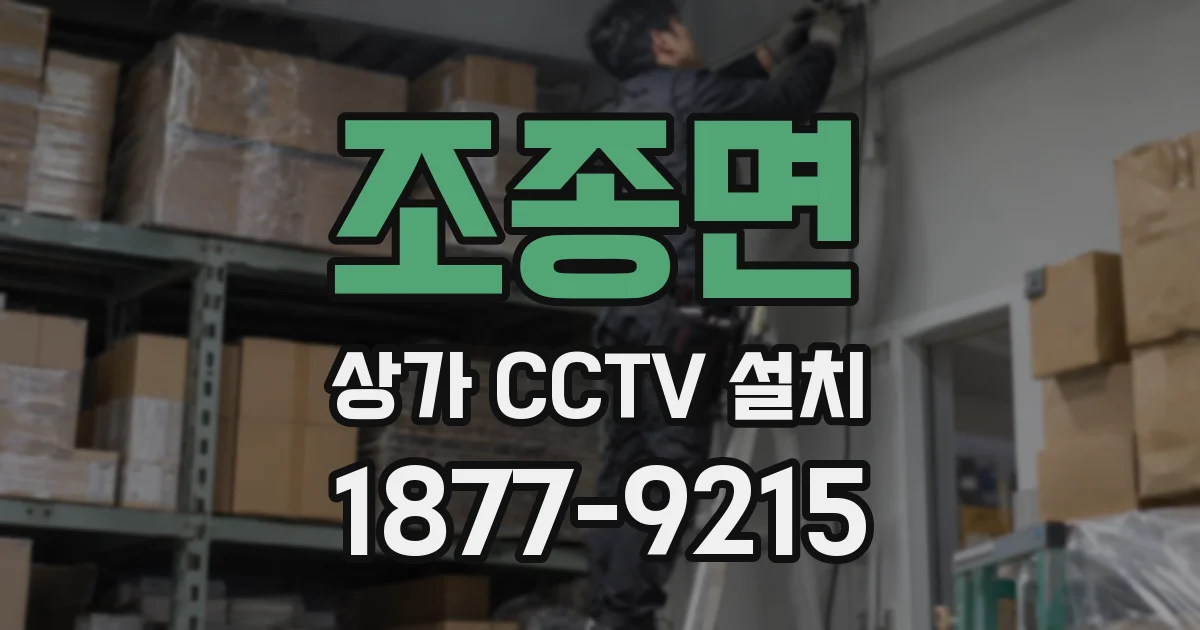 조종면 상가 CCTV 설치