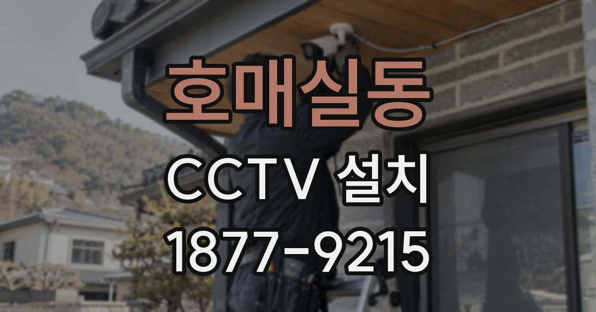 호매실동 CCTV 설치