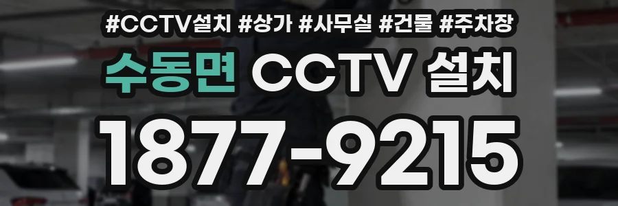 수동면 CCTV 설치