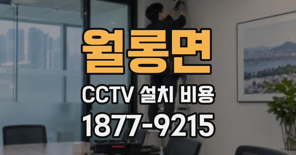 월롱면 CCTV 설치 비용