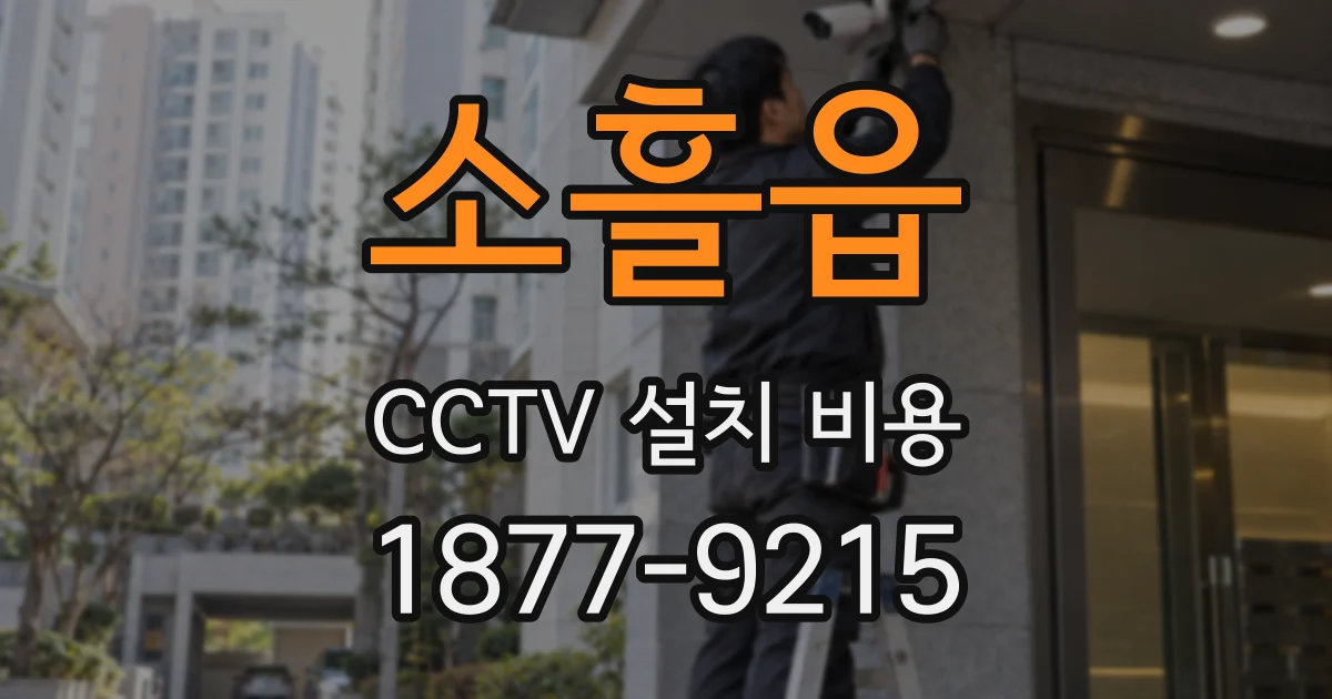 소흘읍 CCTV 설치 비용
