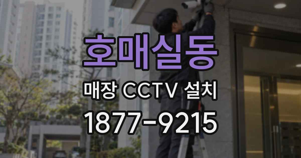 호매실동 매장 CCTV 설치