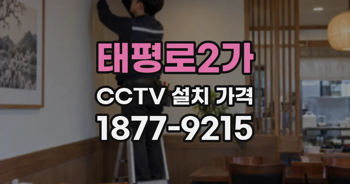 태평로2가 CCTV 설치 가격