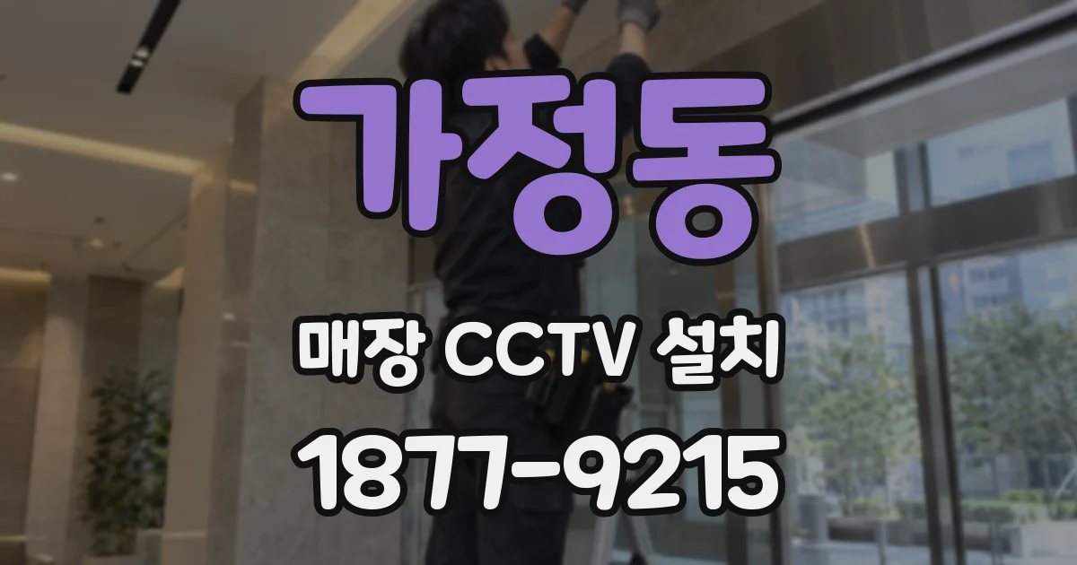 가정동 매장 CCTV 설치