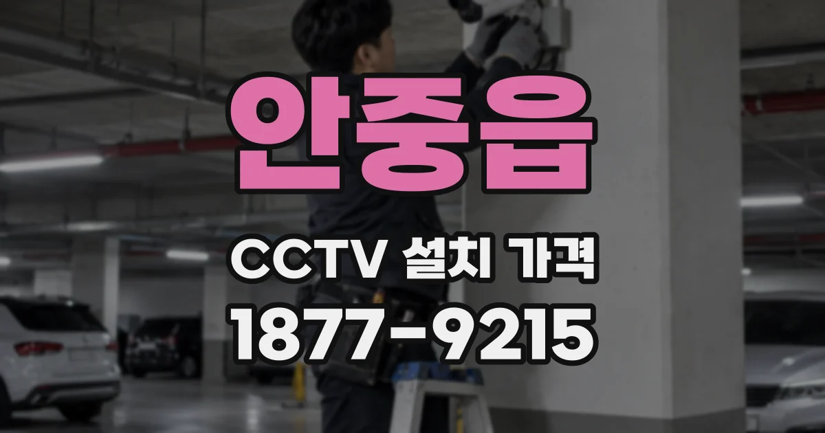 안중읍 CCTV 설치 가격