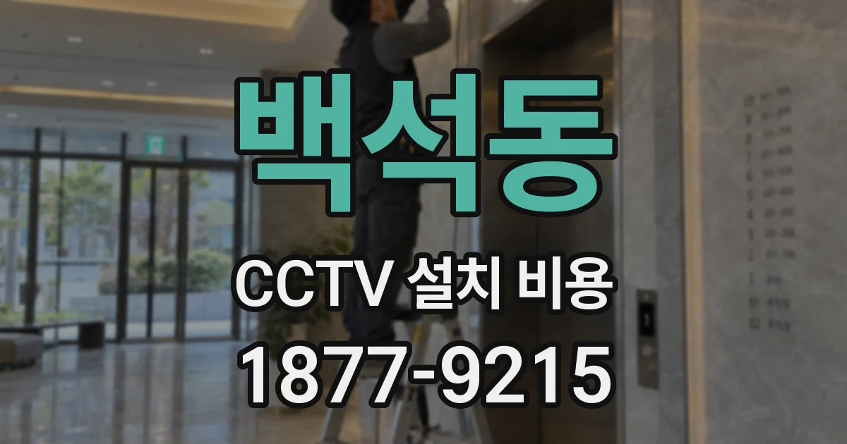 백석동 CCTV 설치 비용