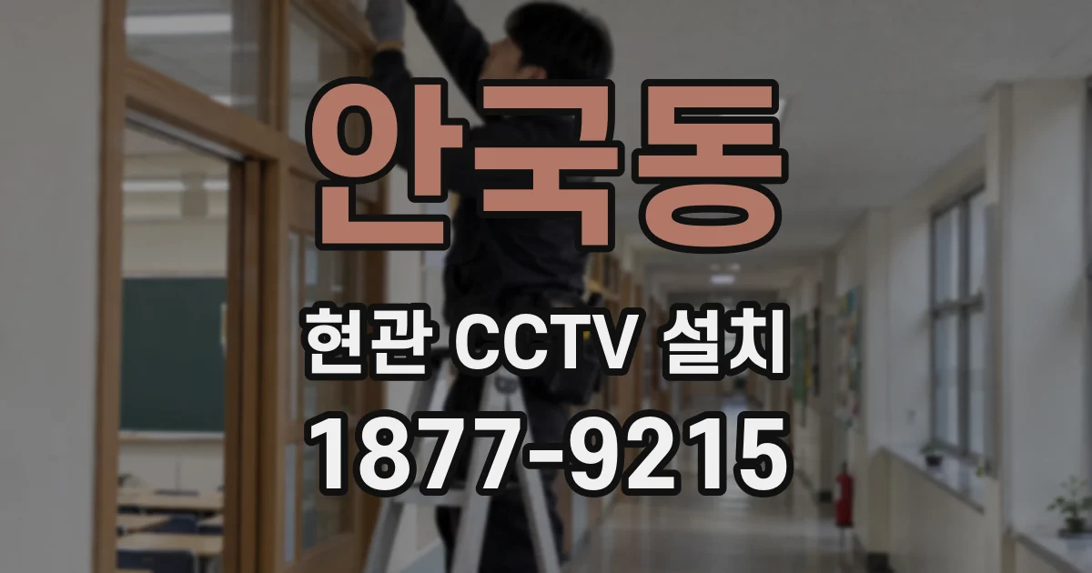 안국동 현관 CCTV 설치
