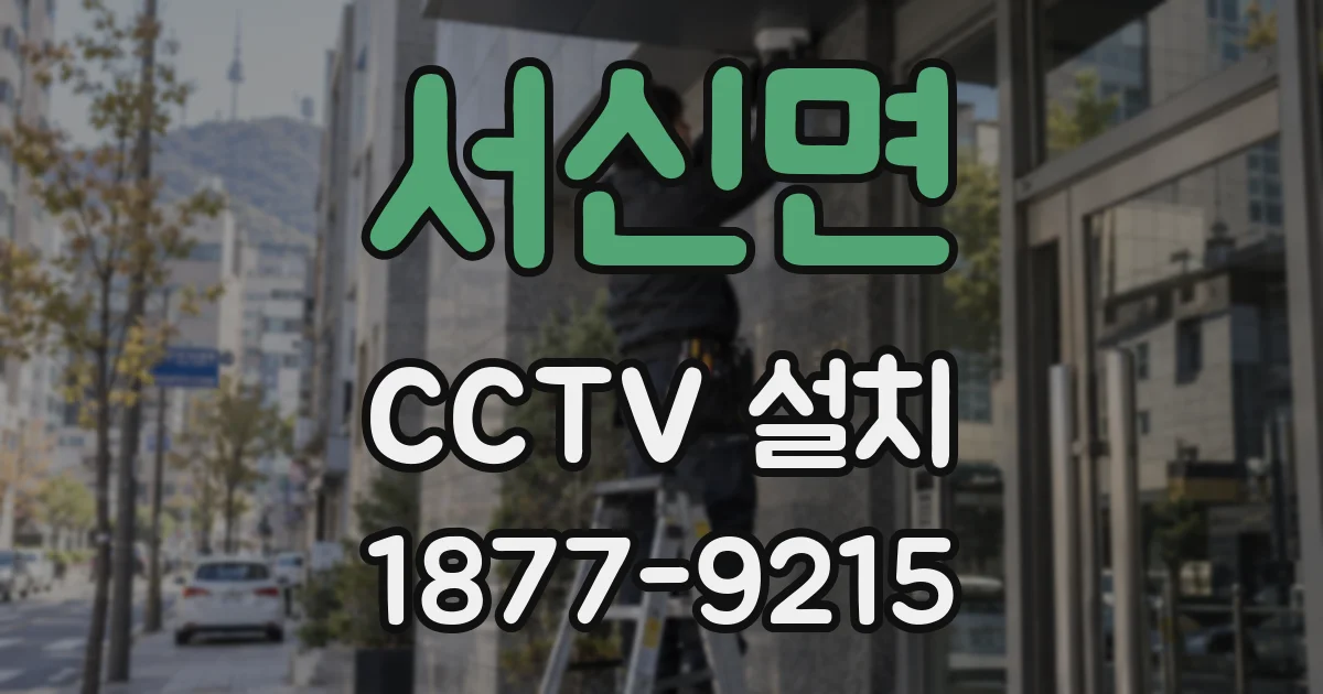 서신면 CCTV 설치