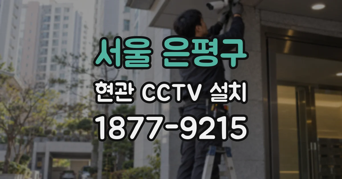 서울 은평구 현관 CCTV 설치