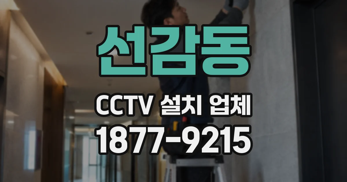선감동 CCTV 설치 업체