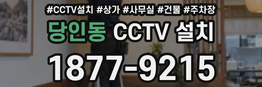 당인동 CCTV 설치
