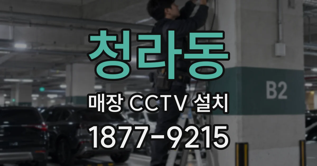 청라동 매장 CCTV 설치