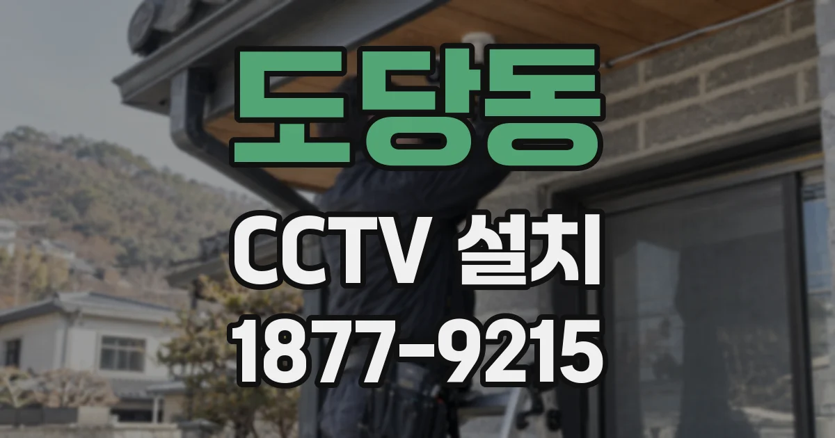 도당동 CCTV 설치