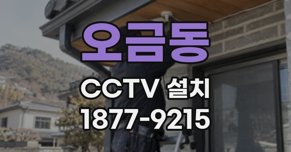 오금동 CCTV 설치