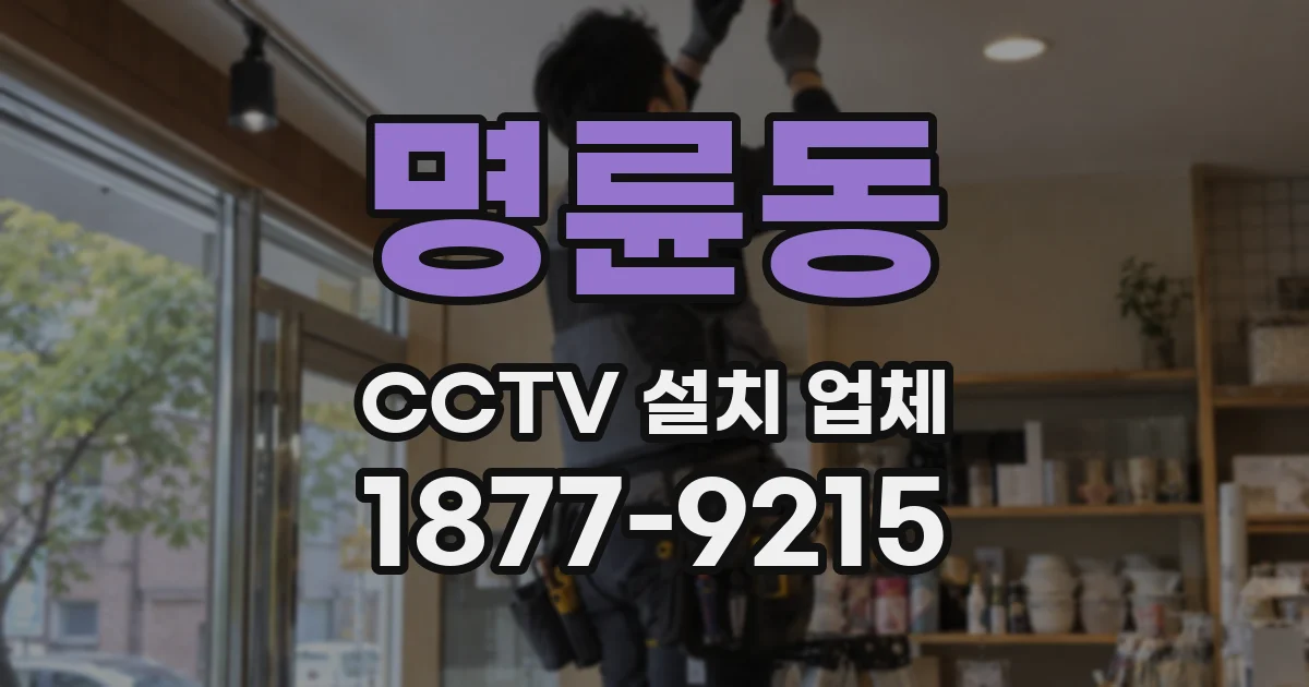 명륜동 CCTV 설치 업체