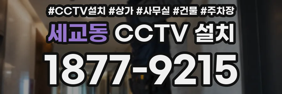 세교동 CCTV 설치