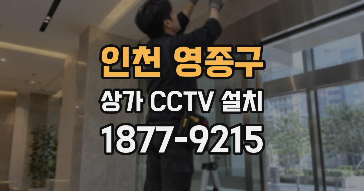 인천 영종구 상가 CCTV 설치