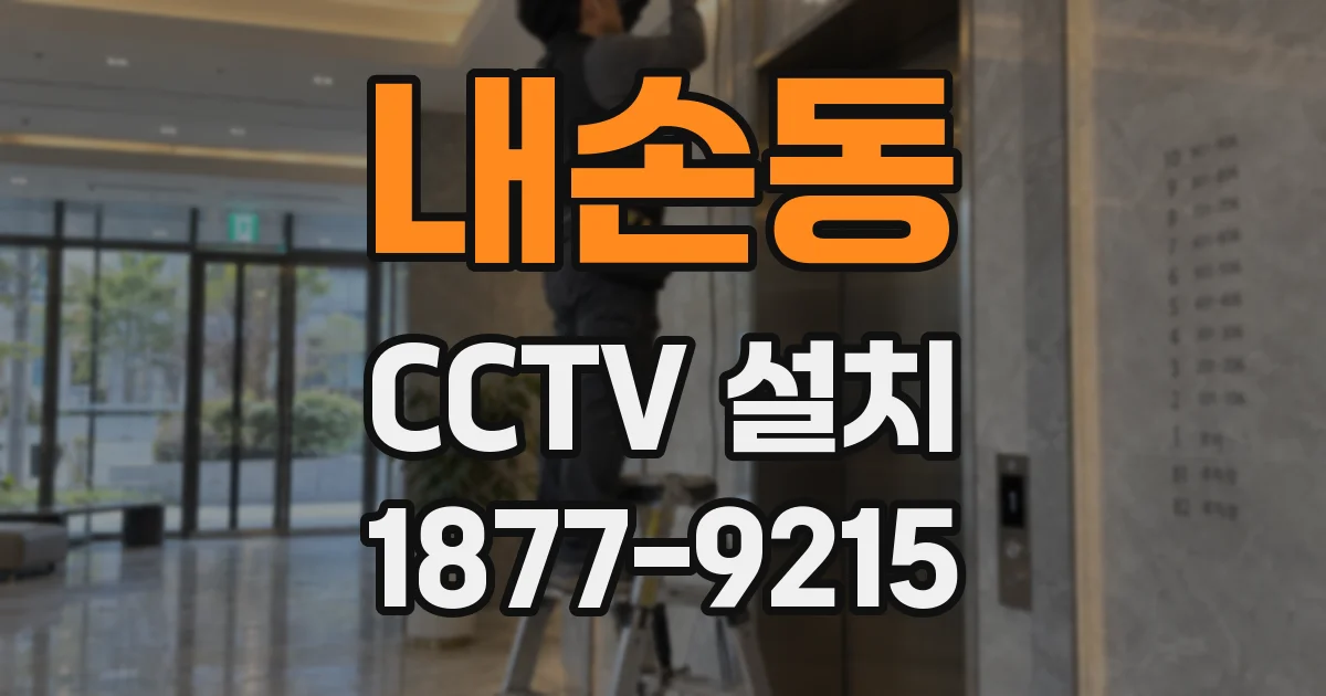 내손동 CCTV 설치