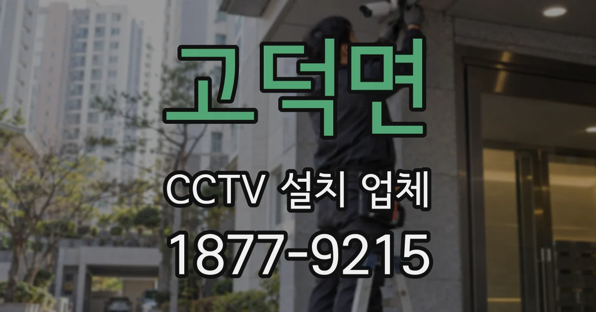 고덕면 CCTV 설치 업체