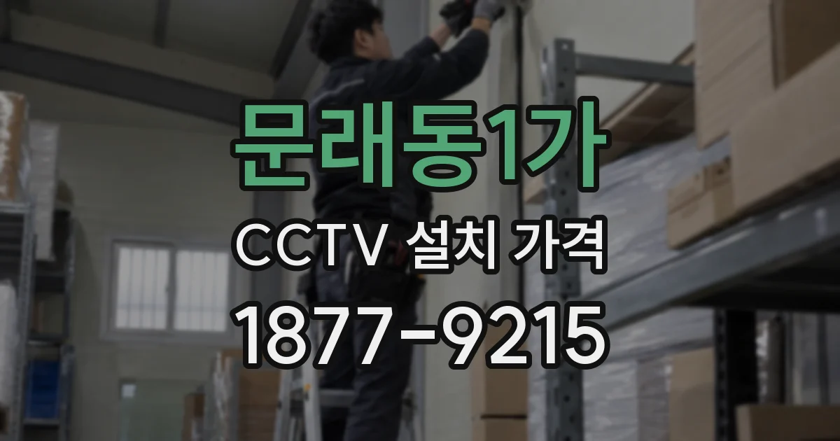 문래동1가 CCTV 설치 가격
