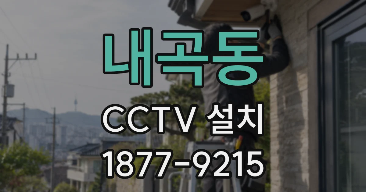 내곡동 CCTV 설치