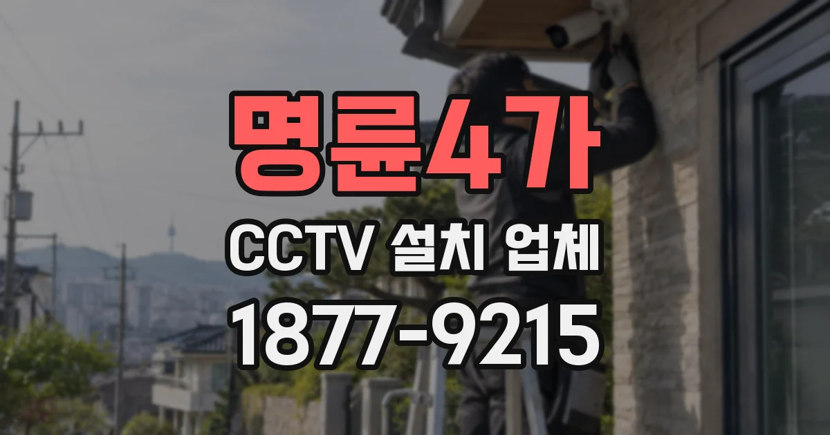 명륜4가 CCTV 설치 업체