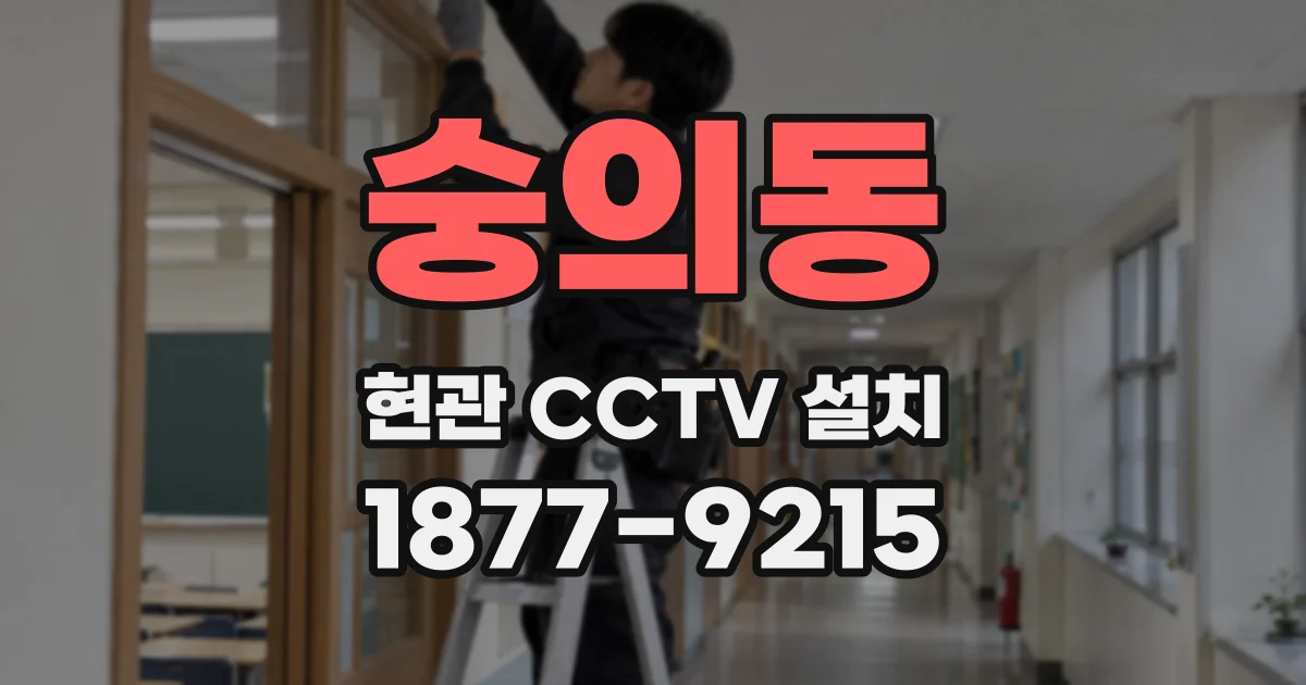 숭의동 현관 CCTV 설치