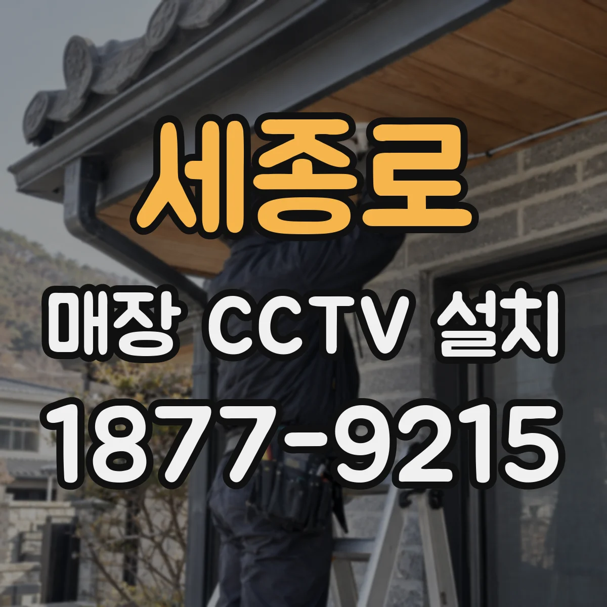 세종로 매장 CCTV 설치