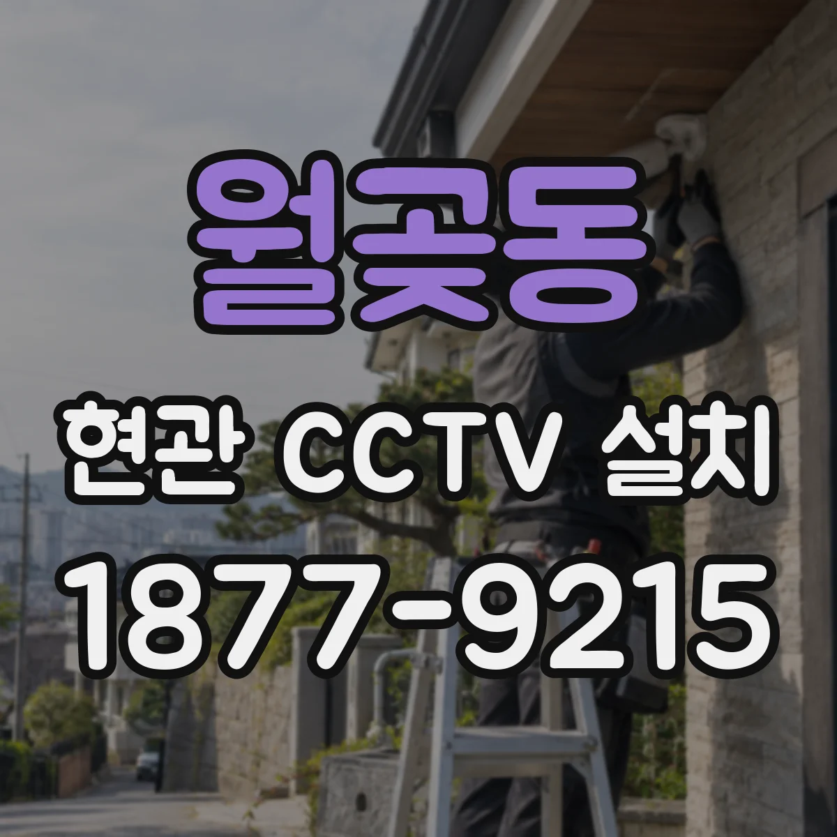 월곶동 현관 CCTV 설치
