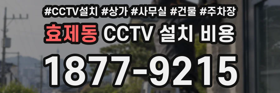 효제동 CCTV 설치 비용