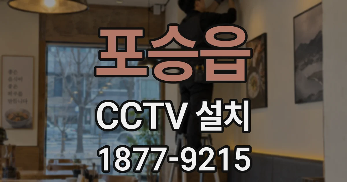 포승읍 CCTV 설치