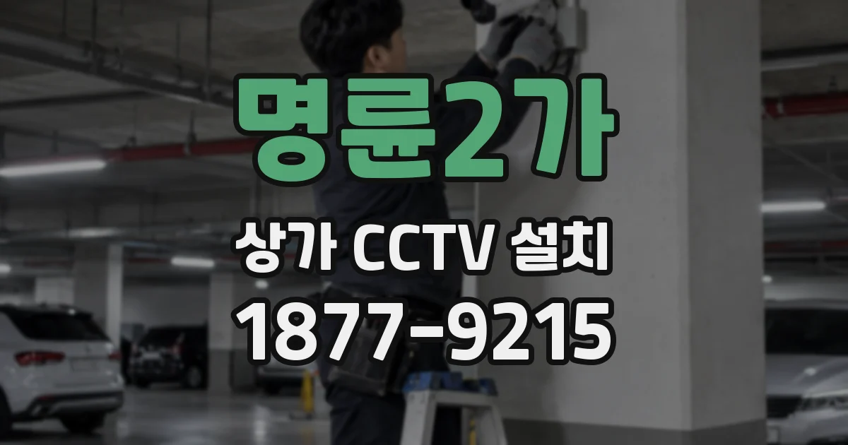 명륜2가 상가 CCTV 설치